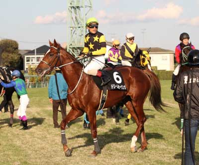 �h���[���Z�[�����O