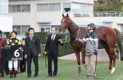 �h���[���Z�[�����O