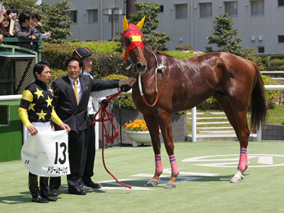 �h���[���Z�[�����O