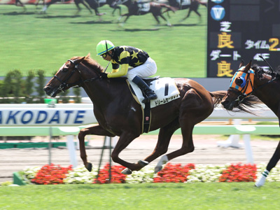 �h���[���Z�[�����O