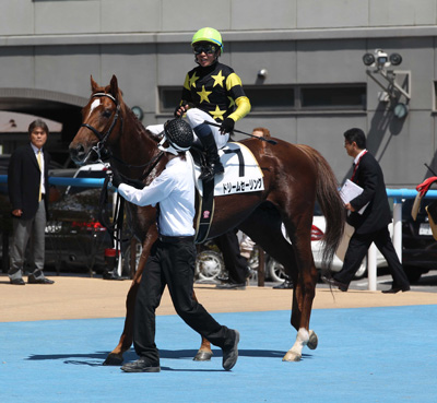 �h���[���Z�[�����O