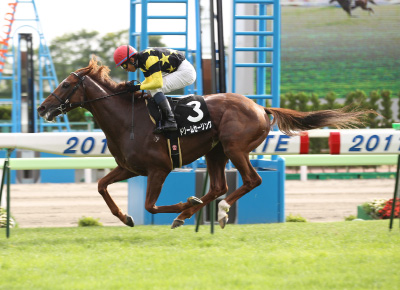 �h���[���Z�[�����O