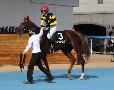 �h���[���Z�[�����O