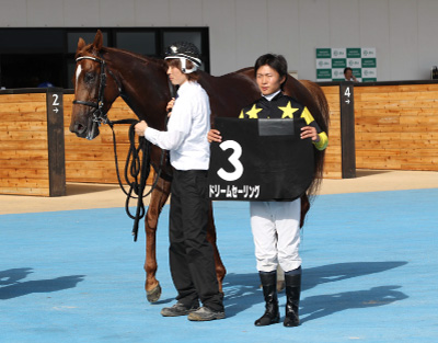 �h���[���Z�[�����O