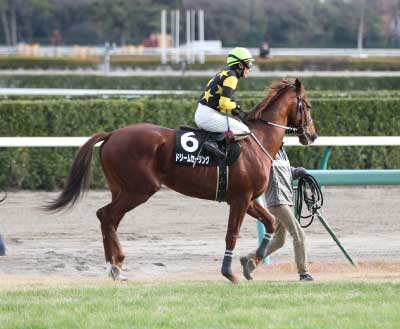 �h���[���Z�[�����O