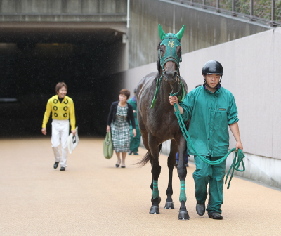 �G���h���X�g���C