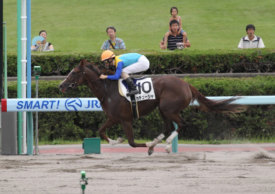 �J�`���[�V��