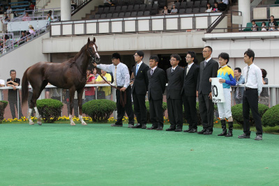 �J�`���[�V��