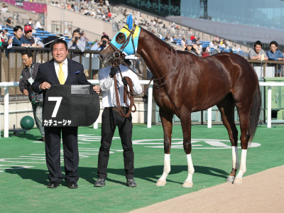 �J�`���[�V��