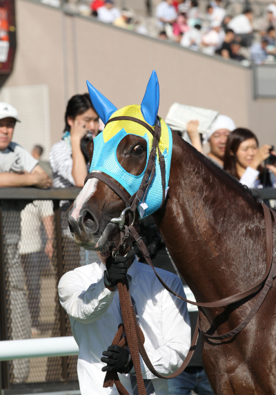 �J�`���[�V��