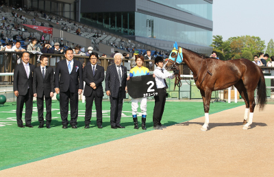 �J�`���[�V��