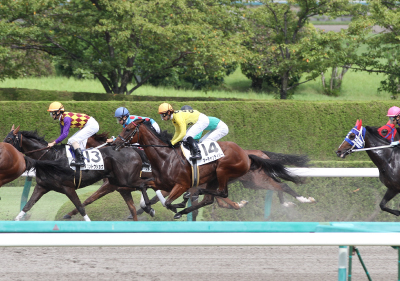 �}�[�`�����e�C�}�[