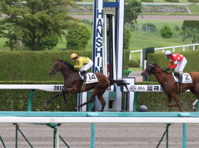 �}�[�`�����e�C�}�[