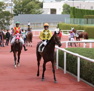 �}�[�`�����e�C�}�[