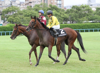 �}�[�`�����e�C�}�[