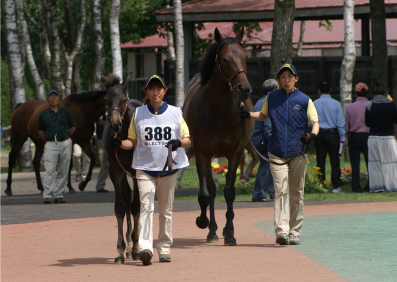 �~�b�L�[�n�s�l�X