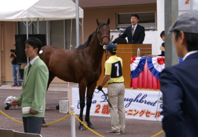 �����g�����V���}��