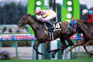 ���A�U���x�X�g