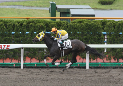 �p�[�e�B�u���b�T��