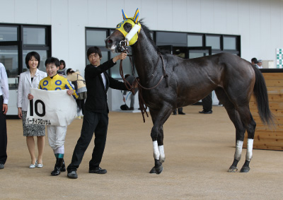 �p�[�e�B�u���b�T��