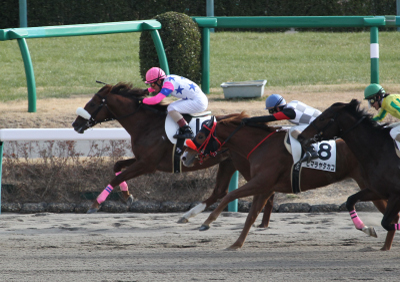 �y�K�T�X�W���j�A