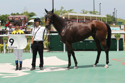 �v���t�F���[�g