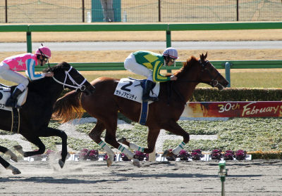 �T�g�m�A�r���e�B