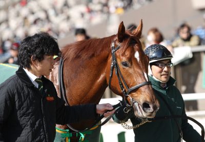 �T�g�m�A�r���e�B