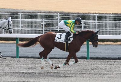 �T�g�m�A�r���e�B