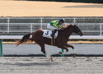 �T�g�m�A�r���e�B