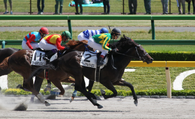 �T�g�m�A���o�g���X