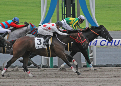 �T�g�m�f�v���}�b�g