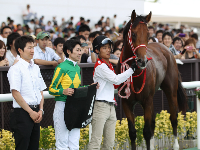 �T�g�m�v�����V�p��