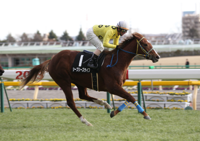 �V�[�u���[�Y���C�t