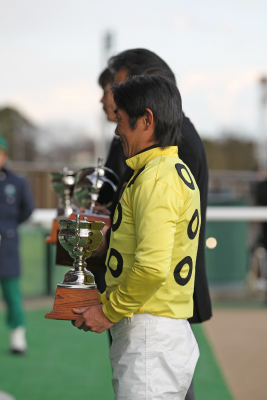 �V�[�u���[�Y���C�t