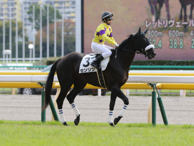 �Z�����c