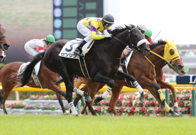 �Z�����c