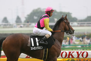 �X�g�����O�K���[�_