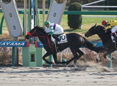 ���j�o�[�T���r�[�`