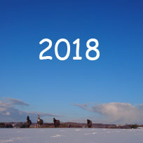 2018