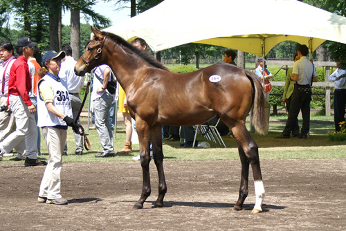 �^�C�Z�C�h���[��