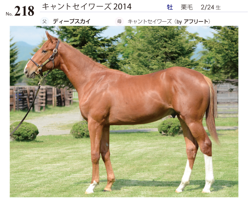 キャントセイワーズ2014全身写真