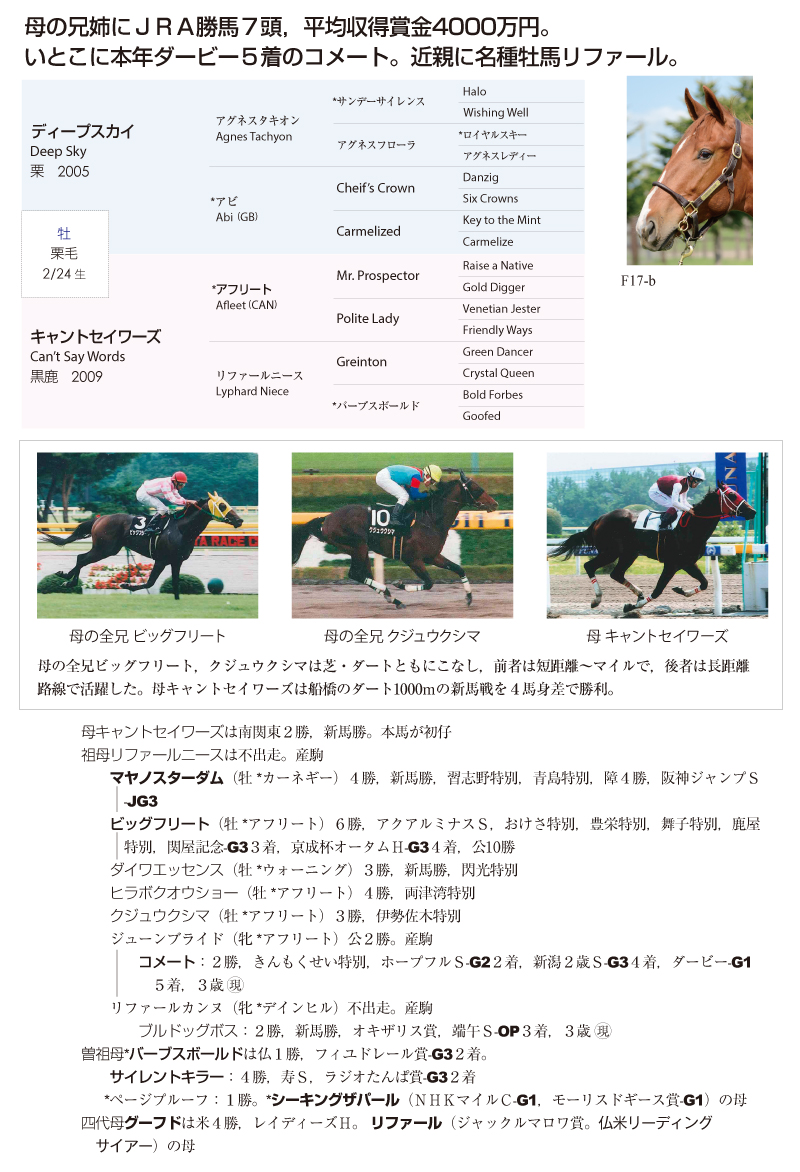 キャントセイワーズ2015基本情報