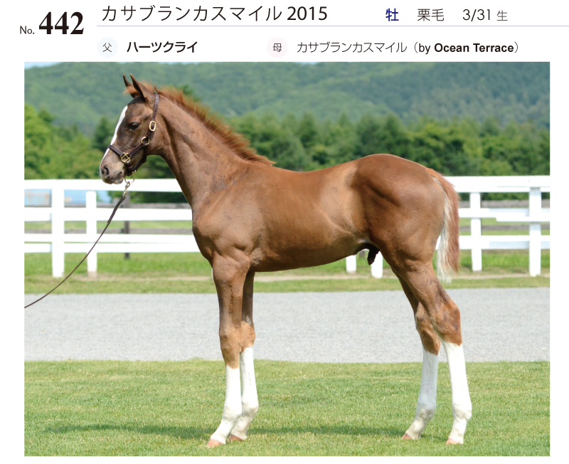 スパークルジュエル2015全身写真