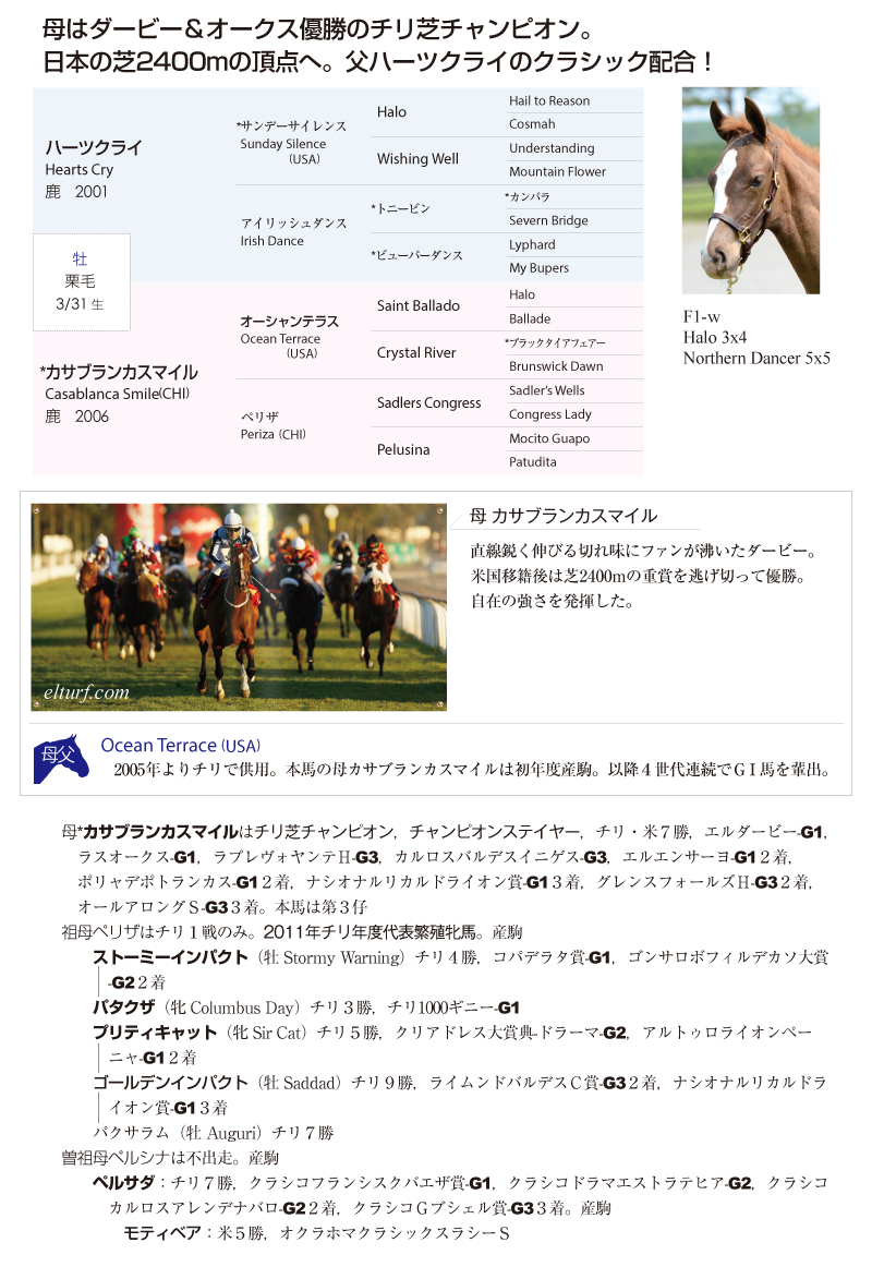 スパークルジュエル2015基本情報