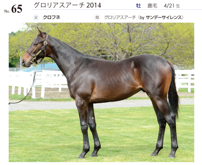 グロリアスアーチ2014全身写真