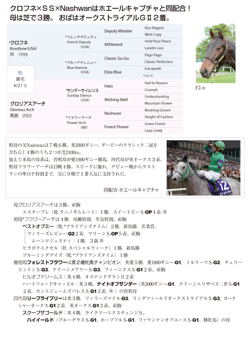 グロリアスアーチ2014基本情報