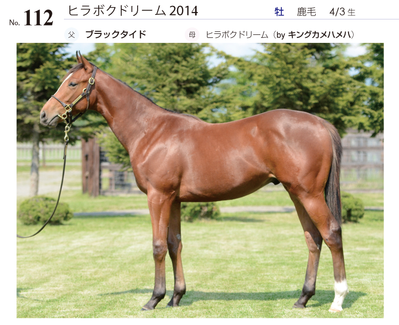 ヒラボクドリーム2014全身写真