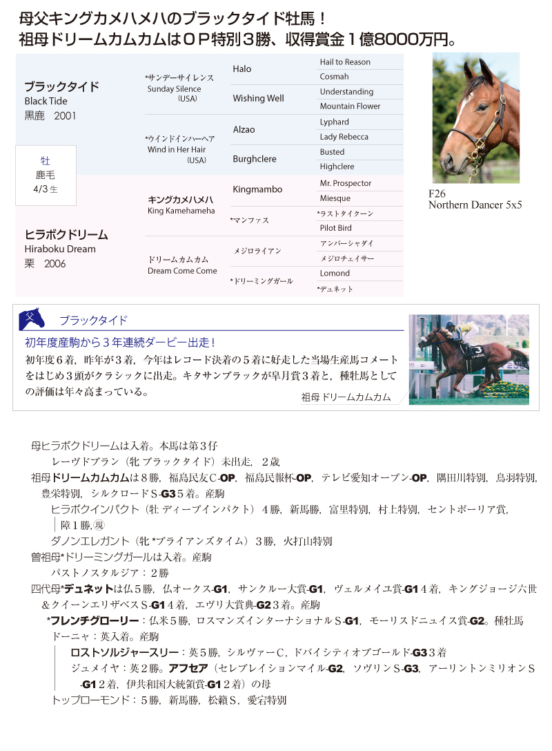 ヒラボクドリーム2015基本情報