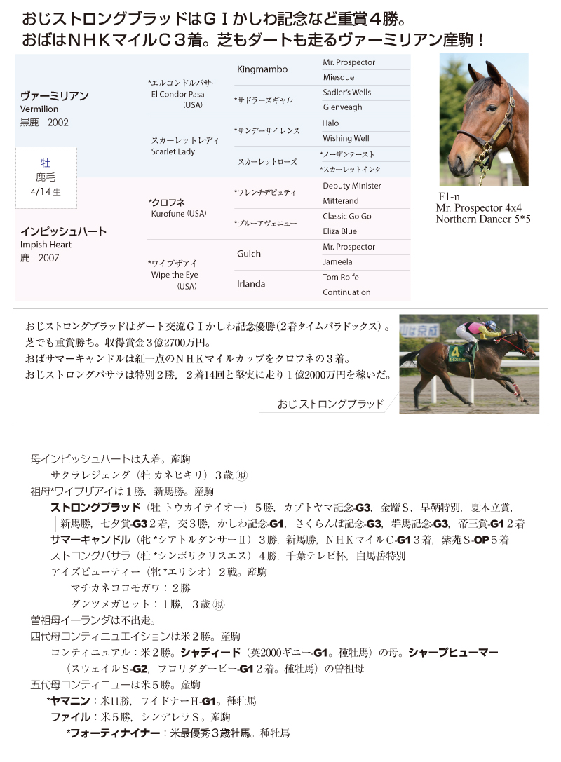 インピッシュハート2015基本情報